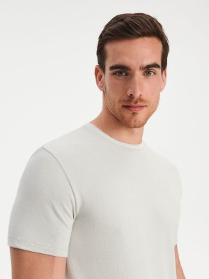 Reserved Regular fit T-shirt Açık Gri | JKQG79562