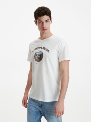 Reserved Regular fit T-shirt with print Ivory | KMQW52973