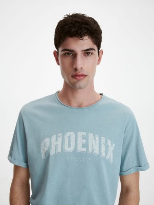 Reserved Regular fit T-shirt with print Mavi | QENC62158