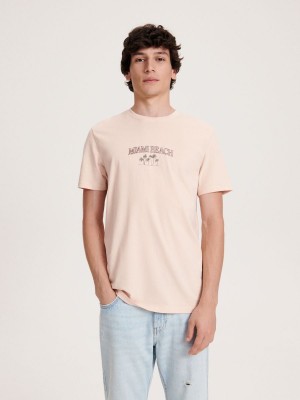 Reserved Regular fit T-shirt with print Pembe | QVLS71954